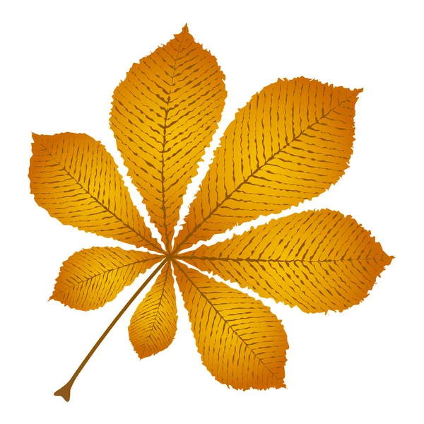 Осіннє листя Каштан — стоковий вектор