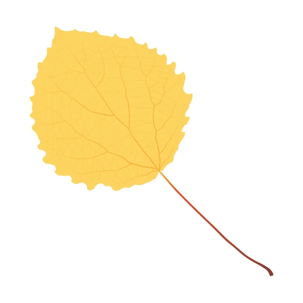 Feuille de tremble jaune — Image vectorielle