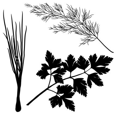 siluetleri dereotu maydanoz soğan