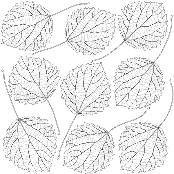 Contoured aspen leaves — Stock Vector