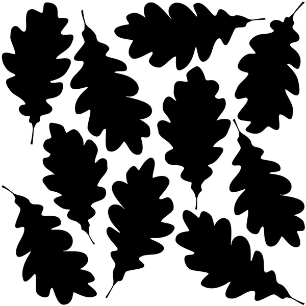 カシの葉のシルエット — ストックベクタ