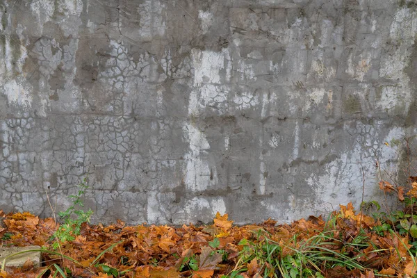 Grinin Farklı Tonlarında Desenli Beton Duvar Çeşitli Şekillerde Çatlaklar Var — Stok fotoğraf