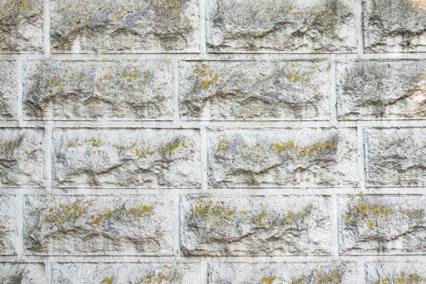 Fragment Van Een Oude Betonnen Muur Met Decoratieve Elementen Zijn — Stockfoto