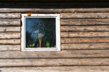 Eski bir köy evinin kütük duvarı. Pencerede içinde kurumuş çiçekler, salatalık tohumları ve yeni yıl çelengi olan bir araba görebilirsiniz. Camda ağaçların yansıması var. Arkaplan. 