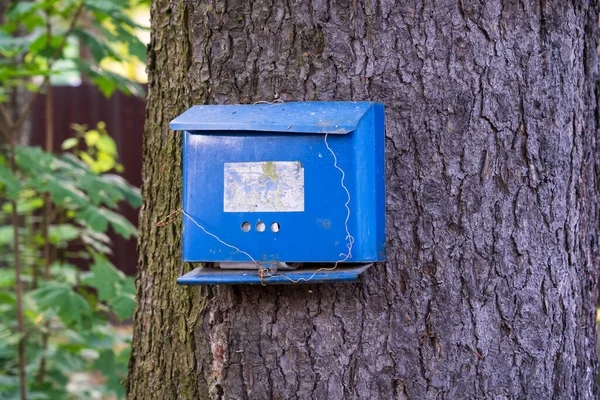 Ein Alter Blauer Briefkasten Wird Einem Baumstamm Befestigt Und Lässig — Stockfoto