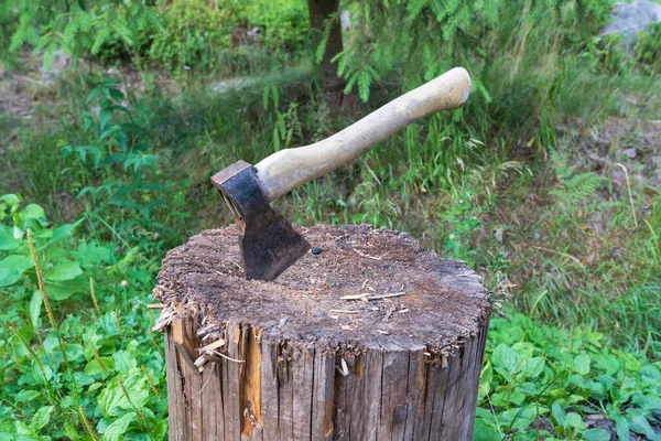Eine Kleine Alte Axt Mit Holzgriff Steckt Einem Holzblock Mit — Stockfoto