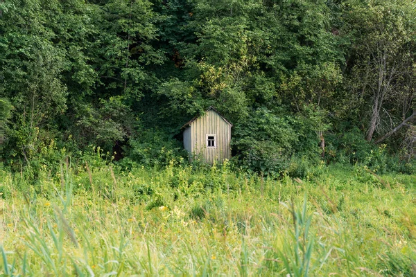 Summer Landscape Edge Forest Bank Swamp Old Small House One — Stock Photo, Image