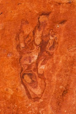 Dinozor parça çakal Buttes Güney