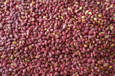 Kavrulmuş kırmızı fıstık çekirdeği arka plan