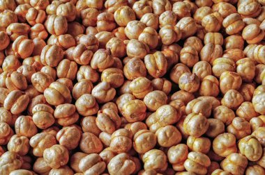 Cheakpea kavrulmuş fındık - tohum