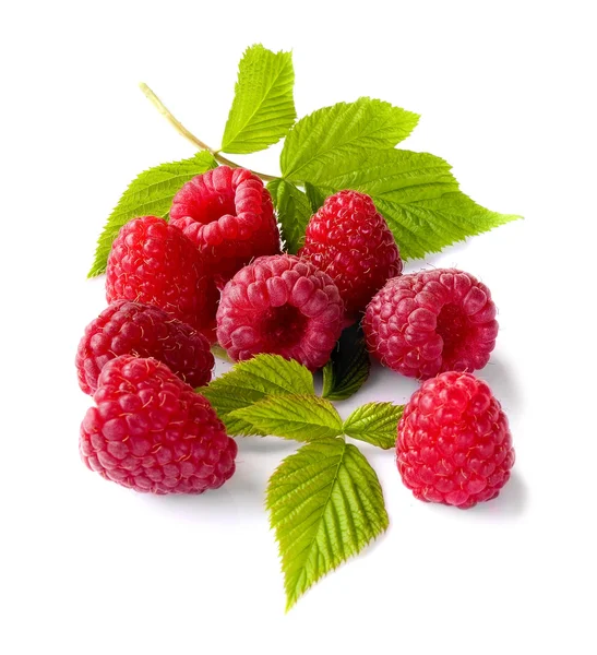 Köstliche erstklassige frische Himbeeren — Stockfoto