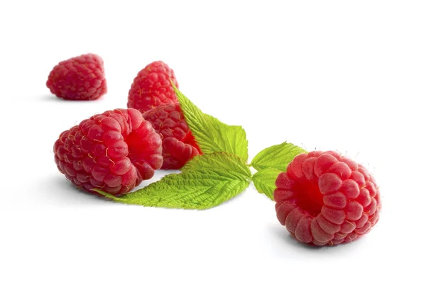 Köstliche erstklassige frische Himbeeren — Stockfoto