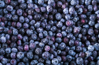 Frozen blueberry texture - background clipart