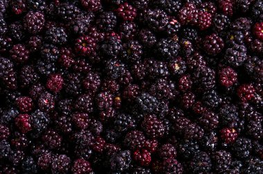 Frozen domestic wild blackberries background - texture