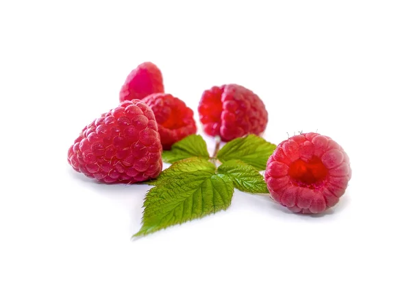 Delicious first class fresh raspberries isolated on white backgr — Stock Photo, Image