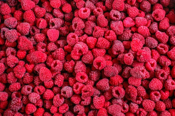 Tekstur raspberry beku - latar belakang — Stok Foto