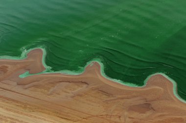 Yeşil dalga kum plaj arka plan üzerinde