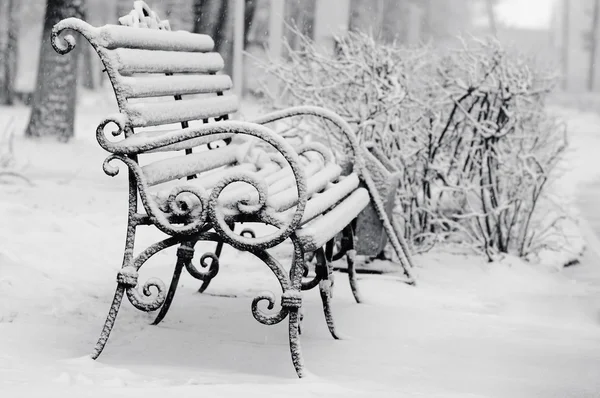 Bench in winter park covered with snow — Stock Photo, Image