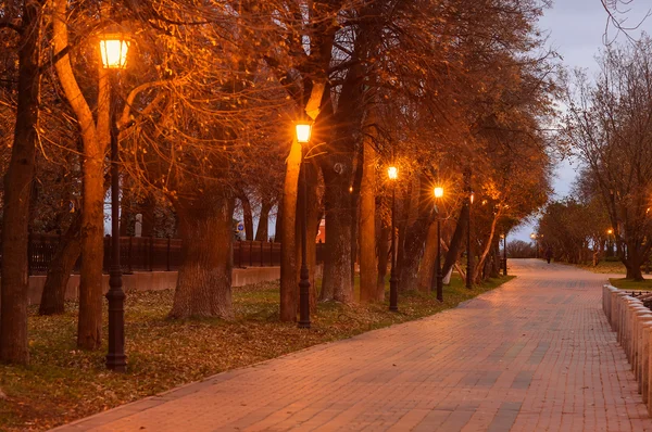 Night City Alley in autumn with row of city lights