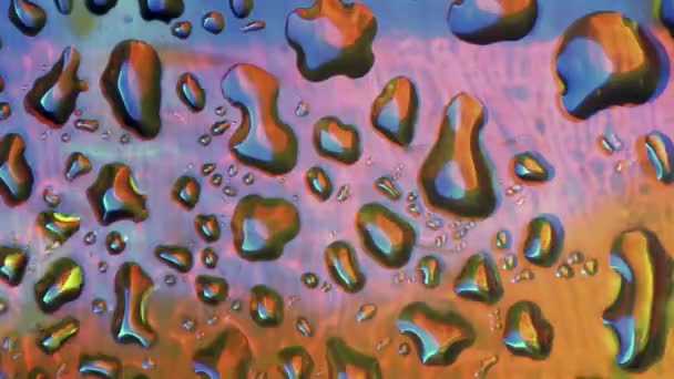 Drops close-up on a glass is liquid on the background of flashing colored lights — Stock Video