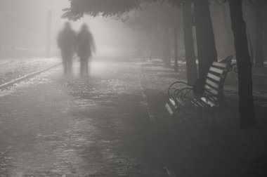 İki kişi de yol sisli park yürüyüş