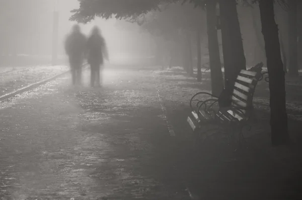 Två personer gå på vägen i dimmigt park Royaltyfria Stockbilder