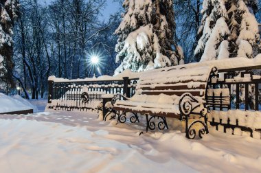 Akşam parkta - ağaçların altında karlı tezgah