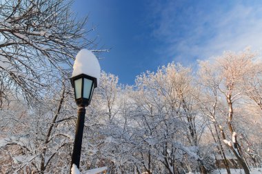 Antika ayaz sokak lâmbası direği kar dalları masmavi gökyüzü kaplı