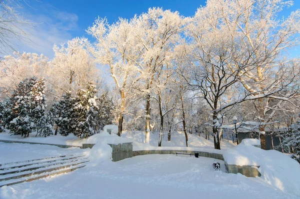 Parque de invierno en nieve — Foto de Stock