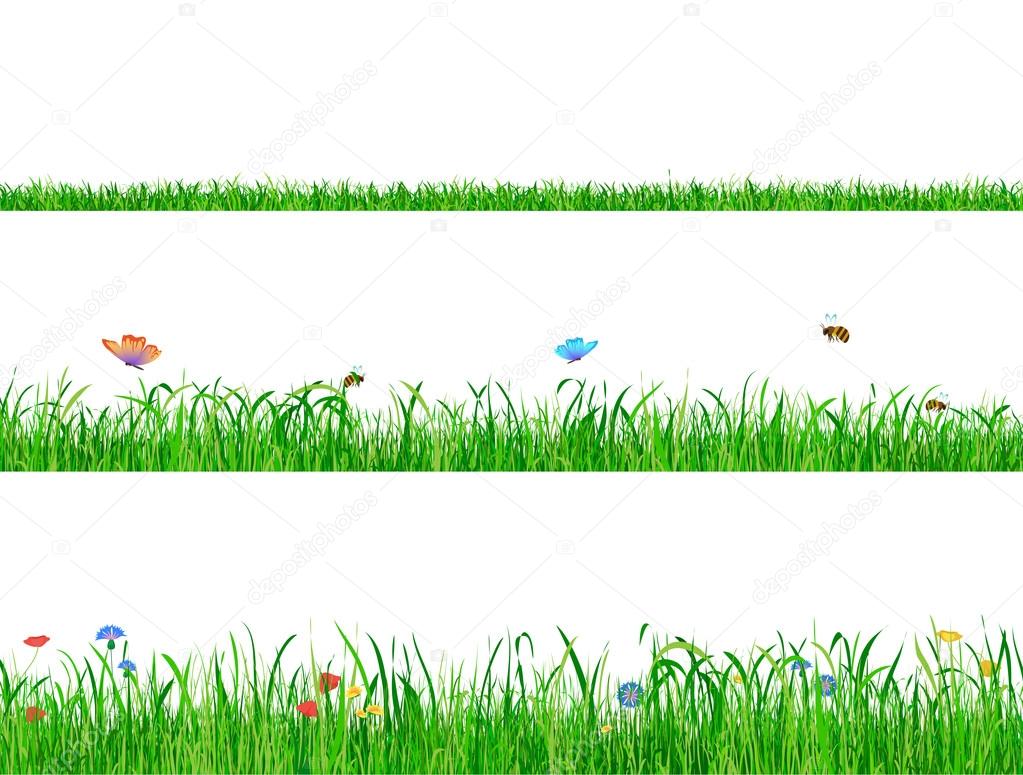 Green grass backgrounds borders with flowers, butterflies and bees.