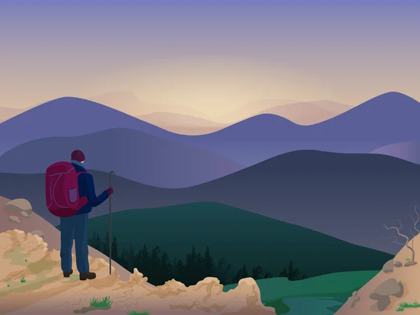 Femme randonneuse au sommet d'une montagne regardant de magnifiques paysages naturels. Illustration vectorielle . — Image vectorielle