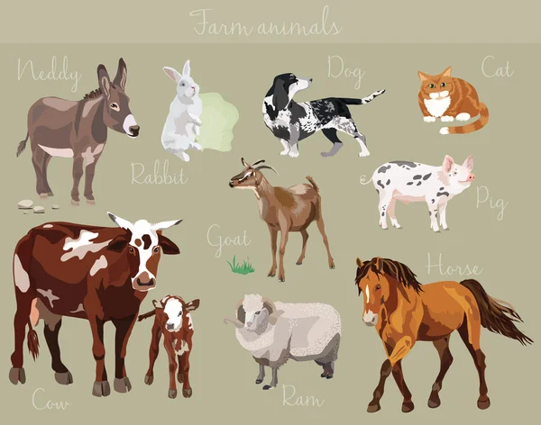 Vector set of different farm animals — Stock Vector