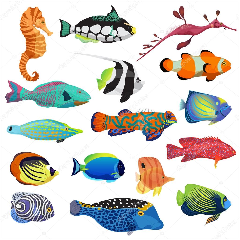 exotic colorful tropical fish fishes collection set isolated