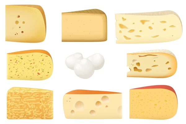 Dreieckige Stücke verschiedener Käsesorten. Parmesan Mozarella Schweizer Emmentaler Cheddar Gouda Ikonen Sammlung. — Stockvektor