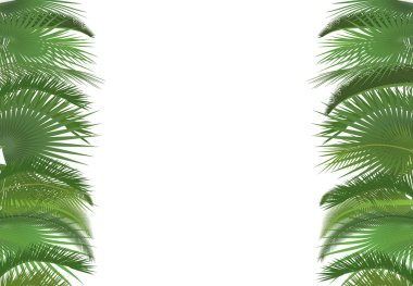 Palmiye bitkisi ağacı arka plan şablonu bırakır. Egzotik tropik festival selebration tebrik kartı. Palm poster duvar kağıdı.