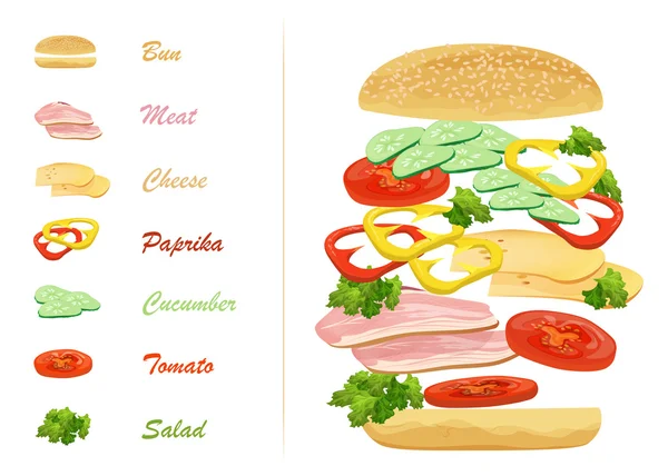 Szendvics összetevők szöveges infographics. Úszó hamburger. — Stock Vector