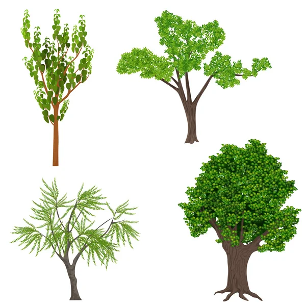 Highly detailed realistic cartoon trees set. Wood forest icons elements. — Stock Vector