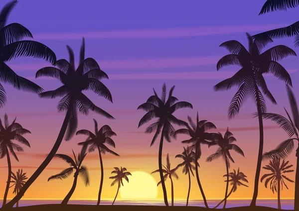 Palmeras Silueta al atardecer o al amanecer. Ilustración vectorial realista. Paraíso de la Tierra en la playa . — Vector de stock