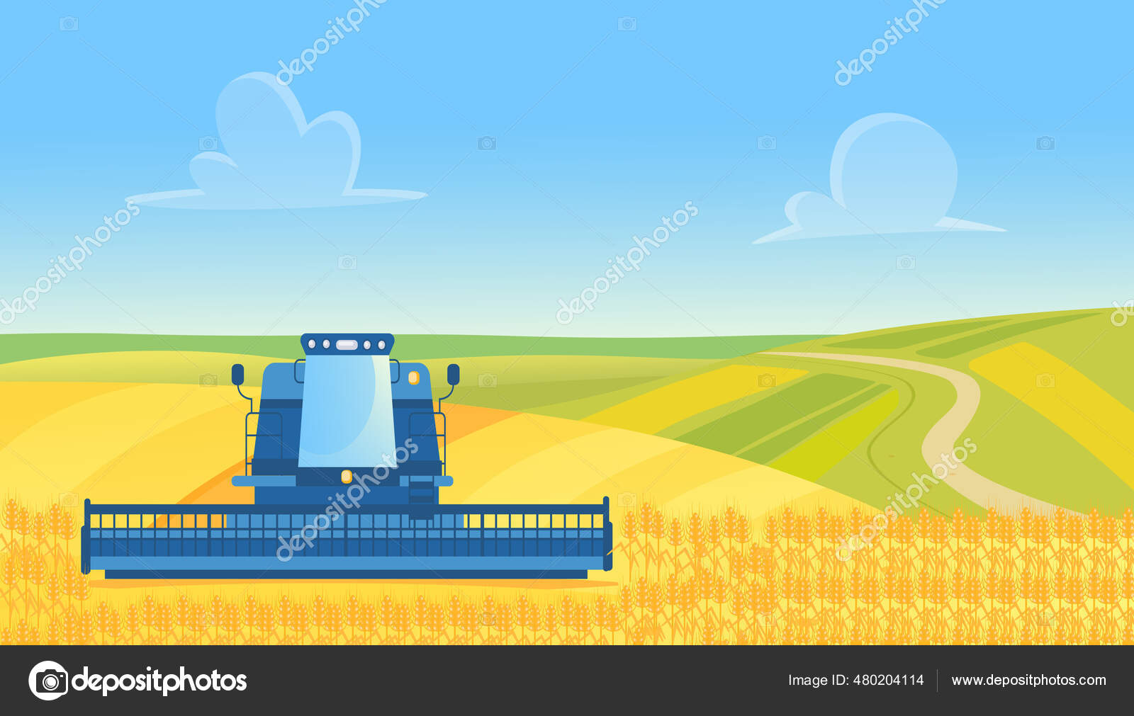 Exploração de colheitadeiras, colheita de trigo do campo de cultivo de  cereais amarelos do campo Vetor de ©Lembergvector 480204114, image size:1600x1011