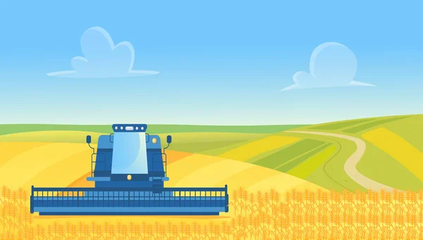 Jordbruksskördare som arbetar med att skörda vete från åkermark som är gul på landsbygden — Stock vektor