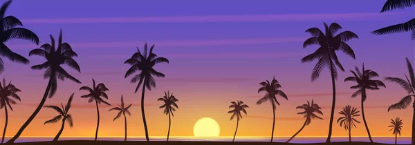 Coucher de soleil exotique coloré sur l'océan tropical avec panorama paysage palmiers — Image vectorielle