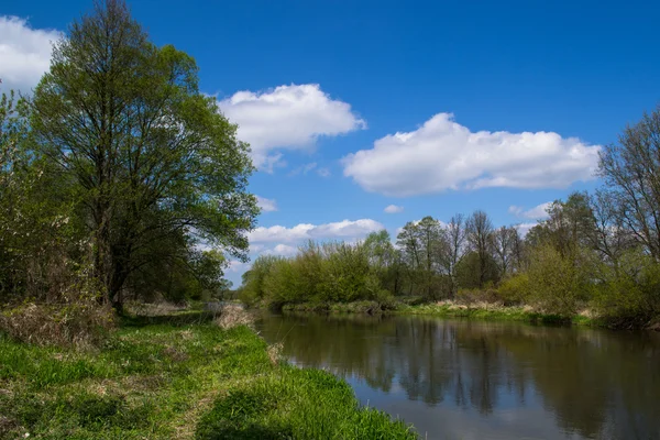 Fiume Widawka - Polonia — Foto Stock