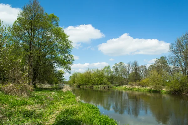 Widawka řeka ve středním Polsku — Stock fotografie