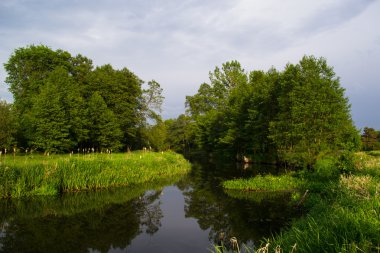  vahşi ve temiz nehir