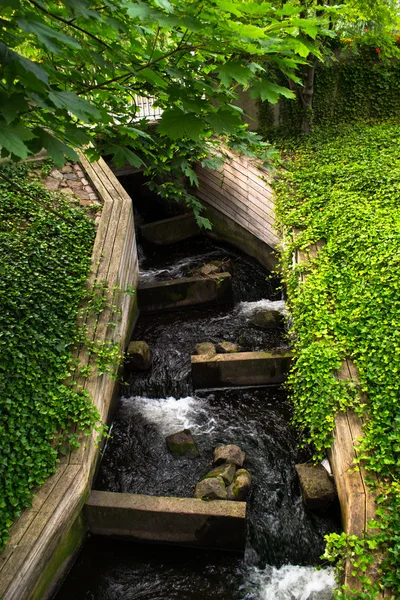 Kleiner Bach mit Wasserfällen — Stockfoto