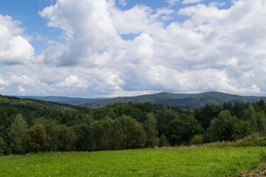 Yeşil tepeler, Bieszczady, Polonya
