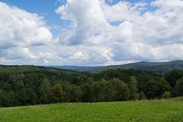 Yeşil tepeler, Bieszczady, Polonya