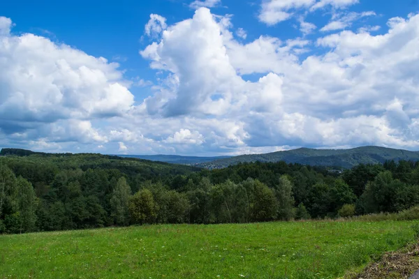 Grüne Hügel, Bieszczady, Polen — Stockfoto