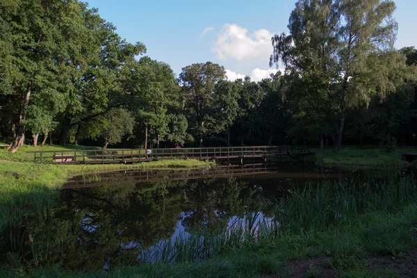 Dammen - den gamla parken — Stockfoto