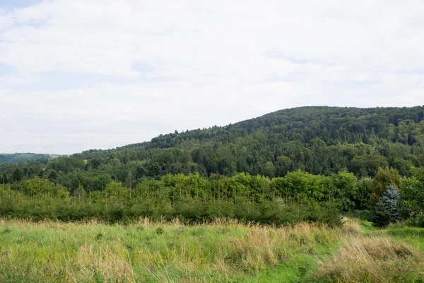 Wzgórza pokryte lasami — Zdjęcie stockowe